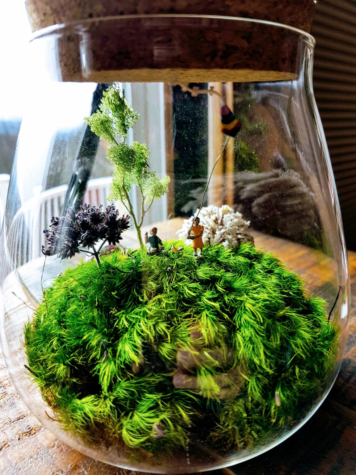 Moss Dioramas & Terrariums Native Nomad